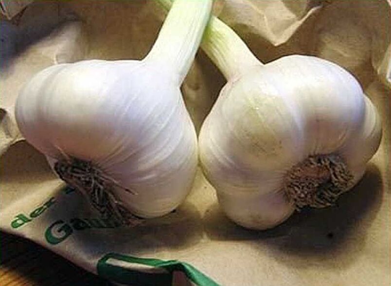 Garlic for the preparation of suppositories or antiparasitic enemas