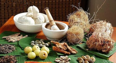 Folk remedies against parasites in the body