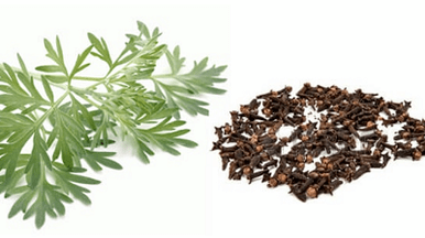 Cloves and worm trees to eliminate parasites from the body