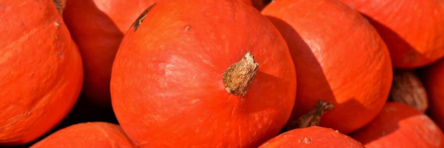 pumpkin against worms