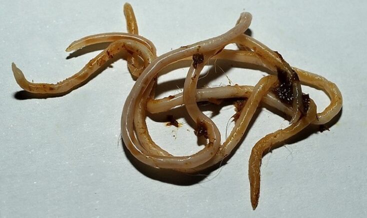 toxins from the human body